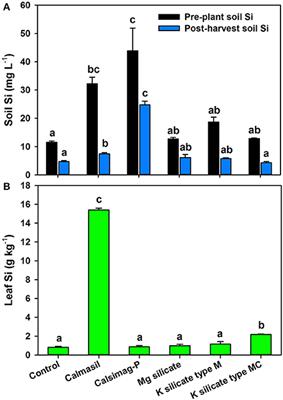 Uptake of Silicon by Sugarcane from Applied Sources May Not Reflect Plant-Available Soil Silicon and Total Silicon Content of Sources